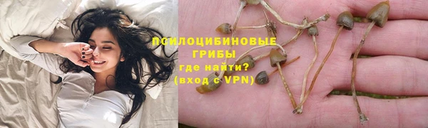 мет Пестово