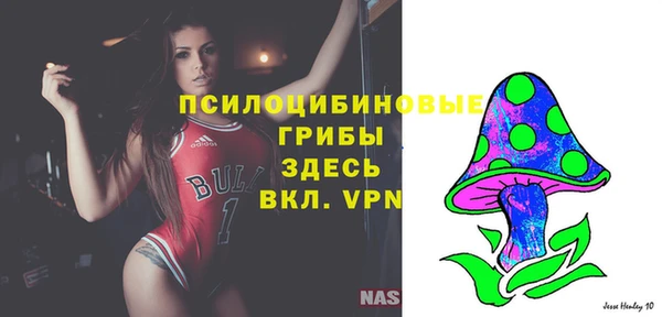 скорость Пересвет