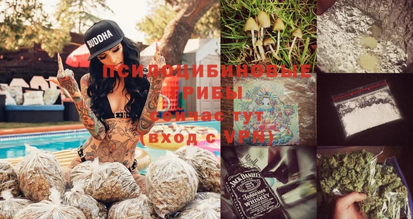 скорость Пересвет