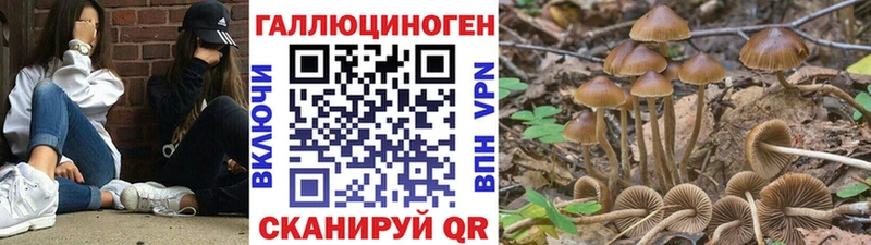Галлюциногенные грибы ЛСД Иваново